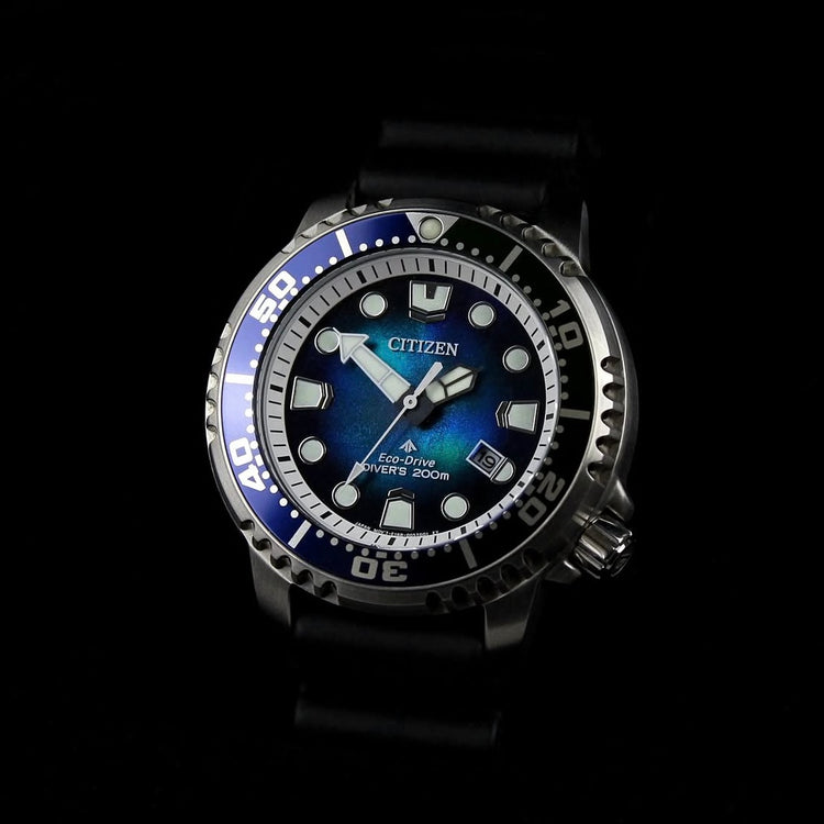 Citizen Eco-Drive BN0166-01L